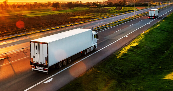 Primer pera con la puest de fondo.